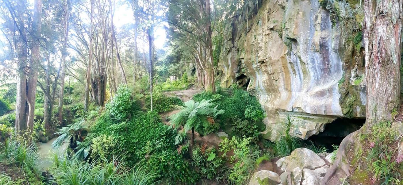 1 Waipu Off-Grid Eco Seaview Geodesic Glamping Dome Exterior foto